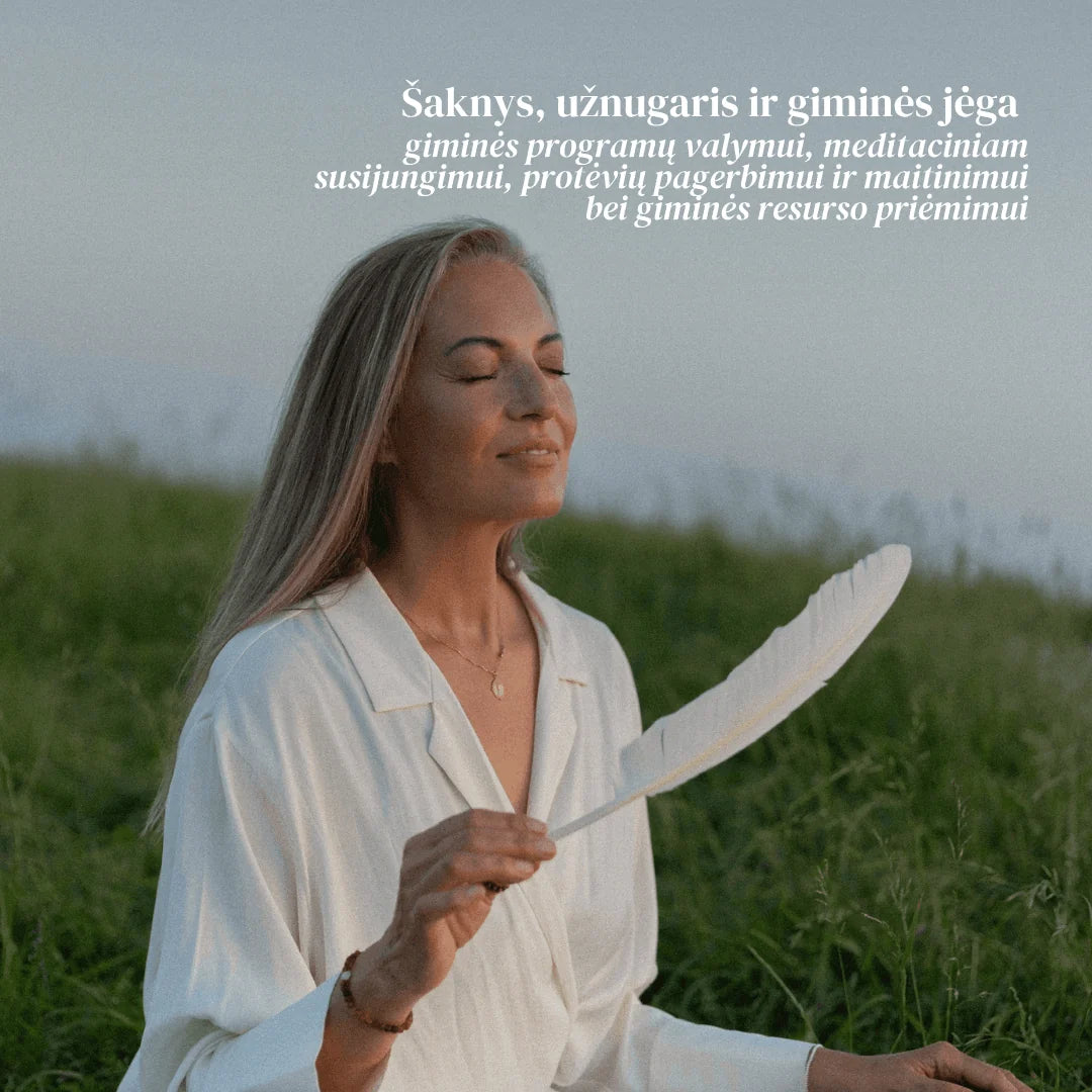 GIMINĖS / PROTĖVIŲ MEDŽIO GALIOS AKTYVACIJA